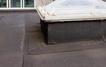 disadvantages of Liverton Street flat roofs