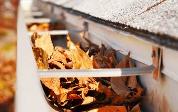 Liverton Street gutter cleaning companies