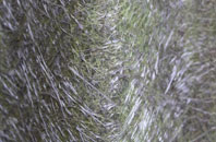 Liverton Street fibreglass roof work